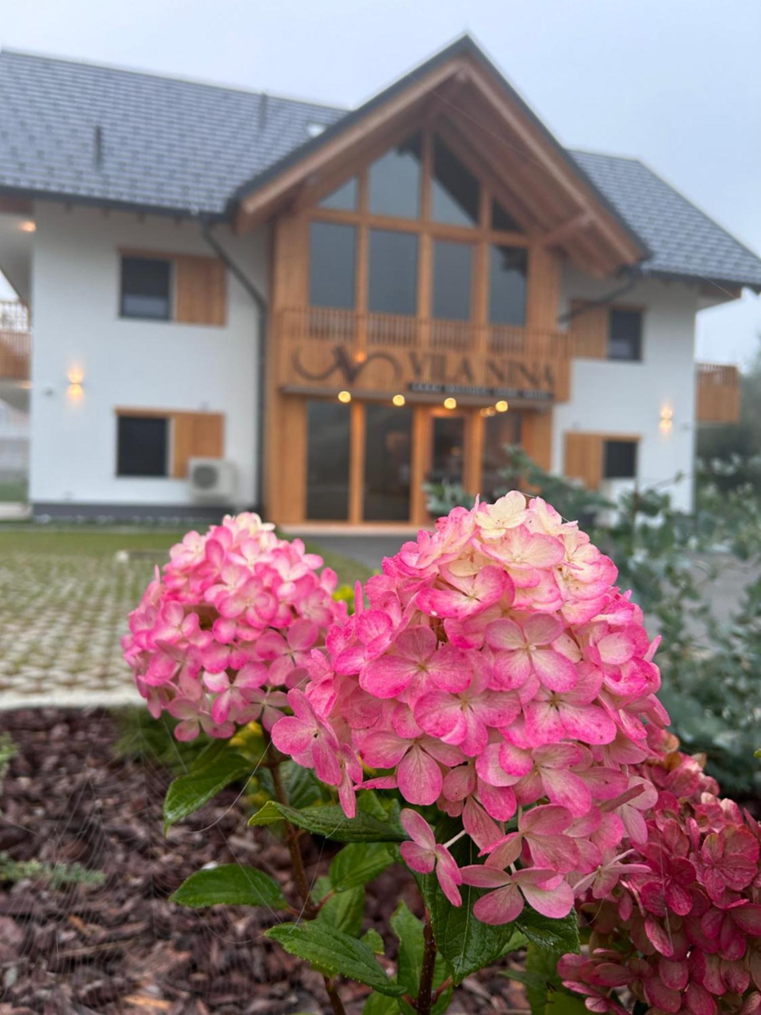 Vila Nina Bohinj Buitenkant foto