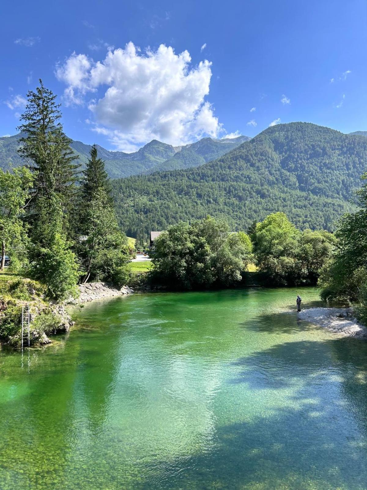Vila Nina Bohinj Buitenkant foto