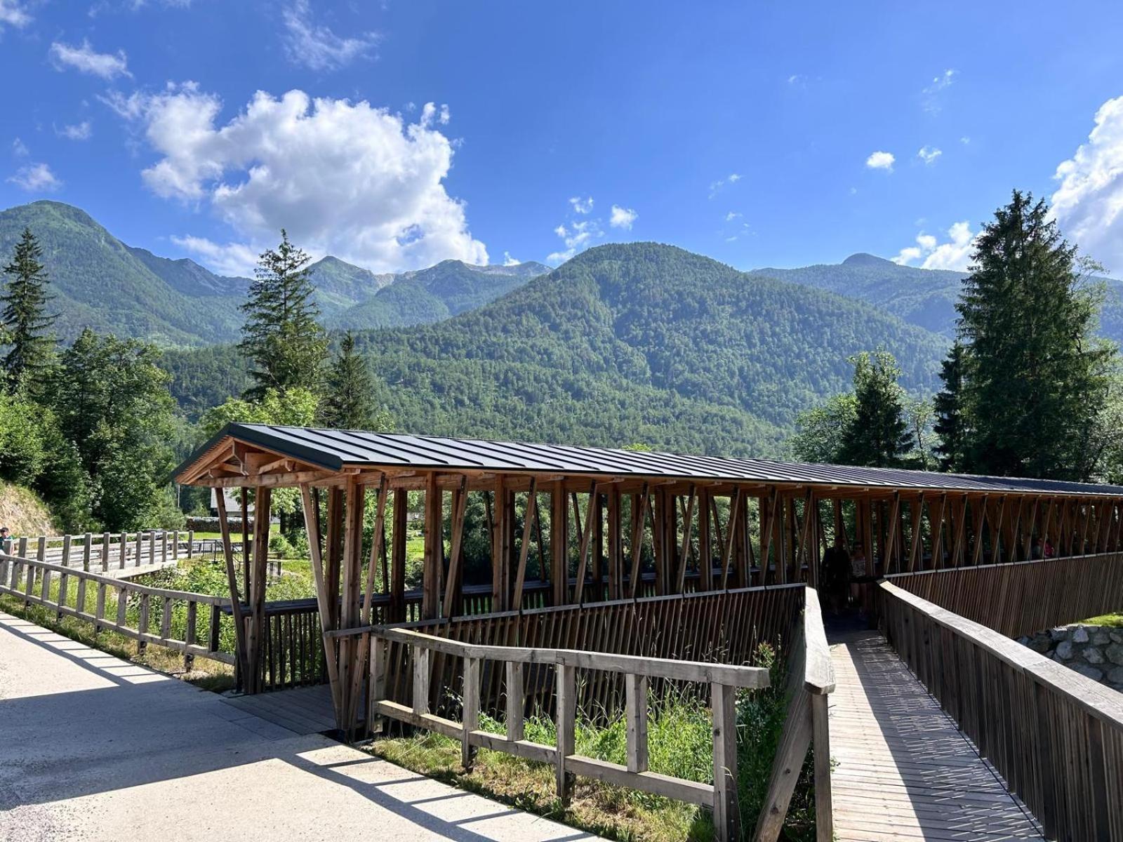 Vila Nina Bohinj Buitenkant foto
