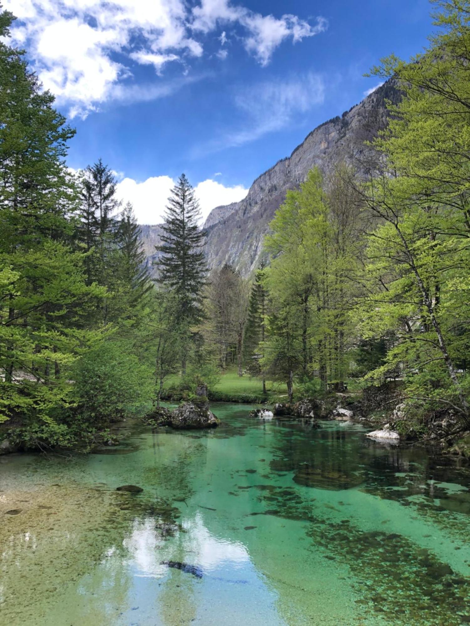 Vila Nina Bohinj Buitenkant foto